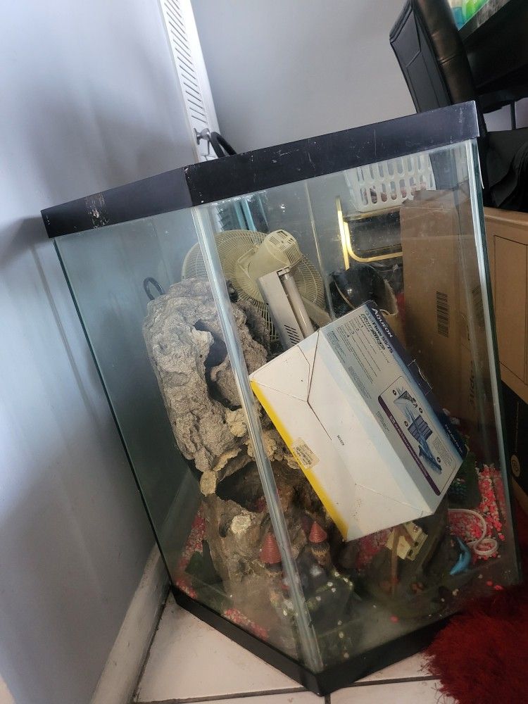 40 Gallon Fish  Tank