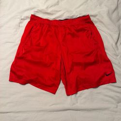 Nike Dri Fit  Shorts 