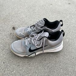 Nike Air Zoom Trout Cleats