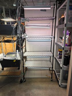 Plant shelf with lights