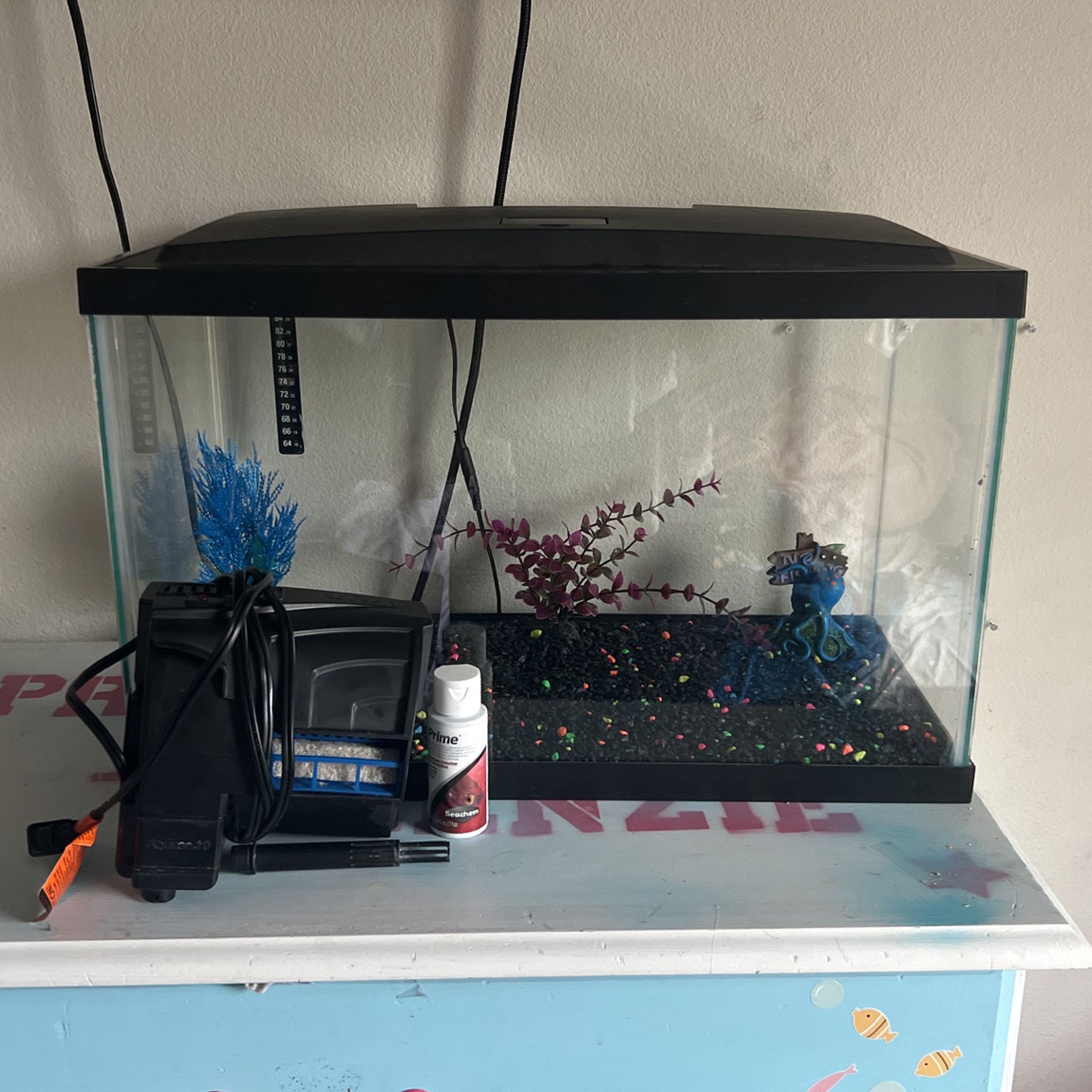 AQUEON 10 Gallon Tank With Filter And Water Conditioner 