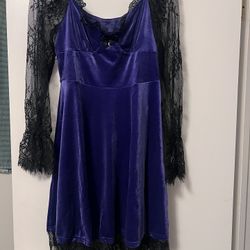 Ladies Purple Costume Dress 
