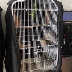 Selling Zebra Finch Birds Cages