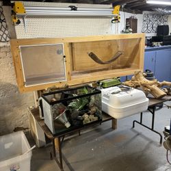 Bearded, Dragon Cage, And Accessories