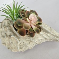 Clam Seashell Artificial Plant Succulent Garden Decor 