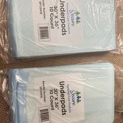 PEE PAD LARGE NEW NEVER OPENED 30X36 -  BED LINER - $5