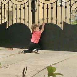 10ft X 6ft Iron Gate.