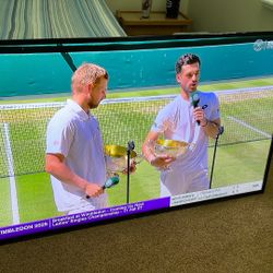 LG Television - 65”