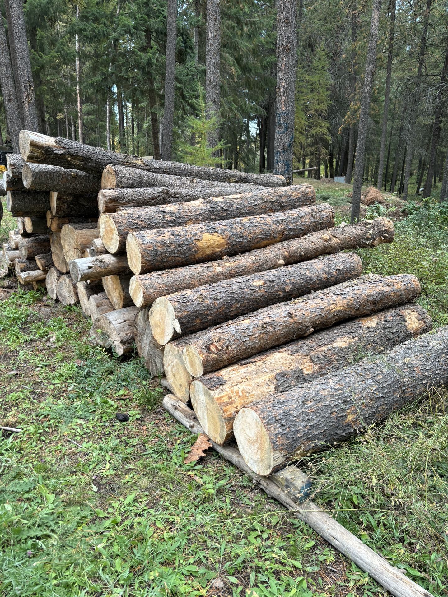 Fire Wood