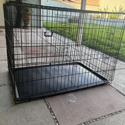 Large Dog Crate