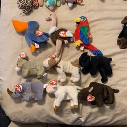 54 Piece Of Beanie Babies From 1993 All The Way To 2006 Make Me An Offer