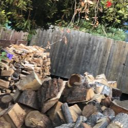 Mixed Wood Eucalyptus Maple Pine Juniper 