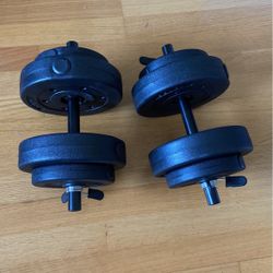 Set Of Two 20lb Dumbbells 