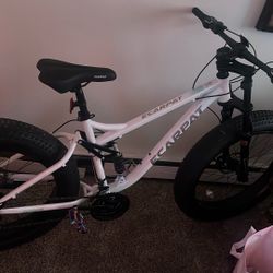 Full Suspension Jupiter Ecarpat Mountain Bike