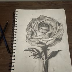 Draw Or Painting 
