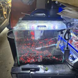 5.5 Gallin Aquarium