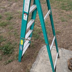 6' Ladder