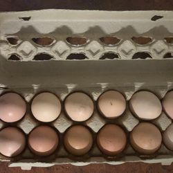 Fresh Farm Eggs $4 