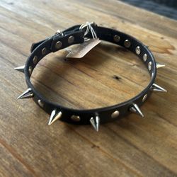 Spike dog collar small - medium
