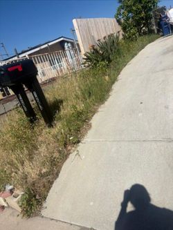 Jardinero Antes Y Después