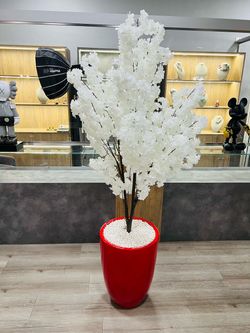 🔴🪴cherry blossom con vase roja