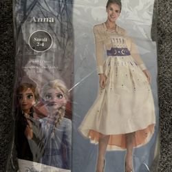 Anna Adult Costume 