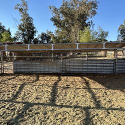 Livestock Or Horse shelter