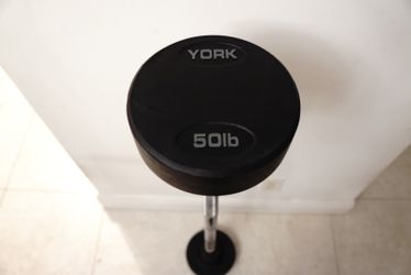 50 lb YORK Rubber Pro Curl Barbell