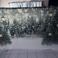 Christmas Kate Backdrops 