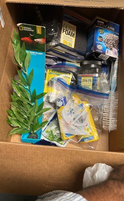 Assortment Of Fish Supplies