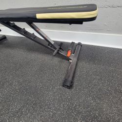 Reality Fitness Bench