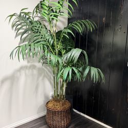 Fake Palm Tree 