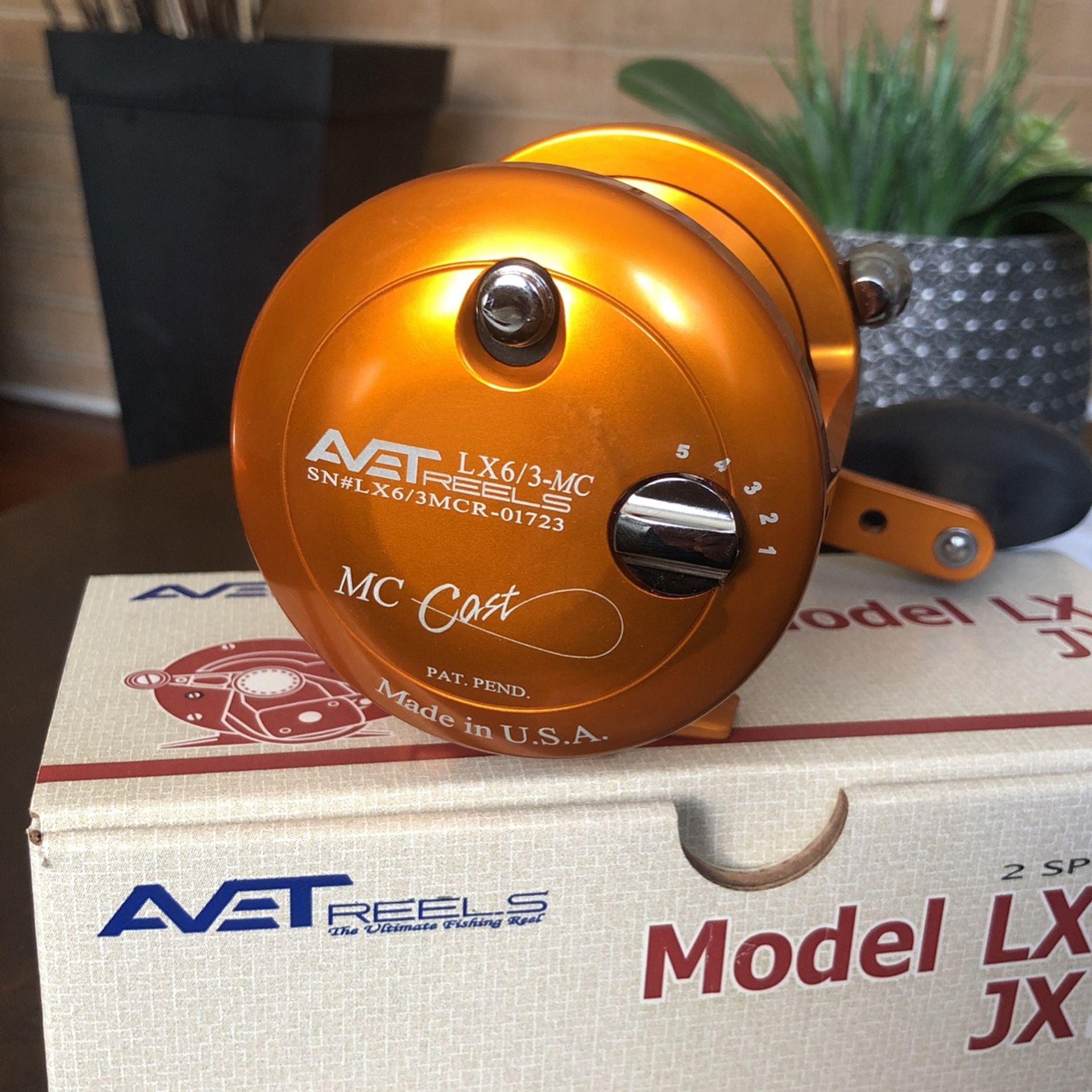 Avet LX6/3 MC Fishing Reel