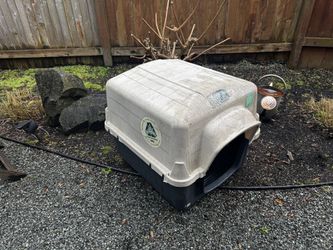Dog House