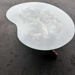Glass and wood coffee table