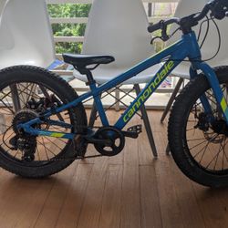 Cannondale Cujo 20 Inch Kids Bike