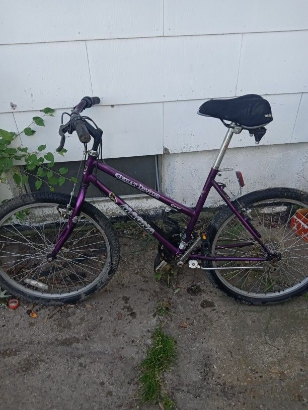 21 Speed  Bike