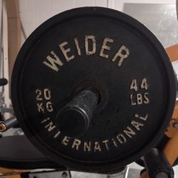 44lbs Plates-pair For Sale