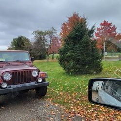 2001 Jeep Wrangler