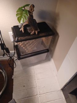 Reptile Aquarium [Bearded Dragon Accessories]