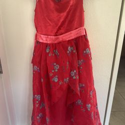 Elena Disney Costume