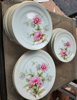 Citadel ivory 1950s Pink Lilly Floral plates