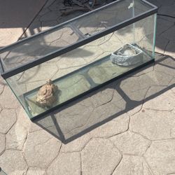 Terrarium 