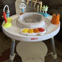 Baby Activity Center 