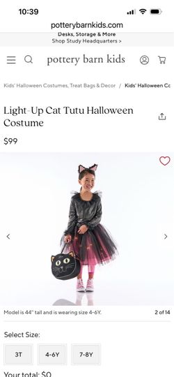 Pottery Barn Light-Up Cat Tutu Halloween Costume