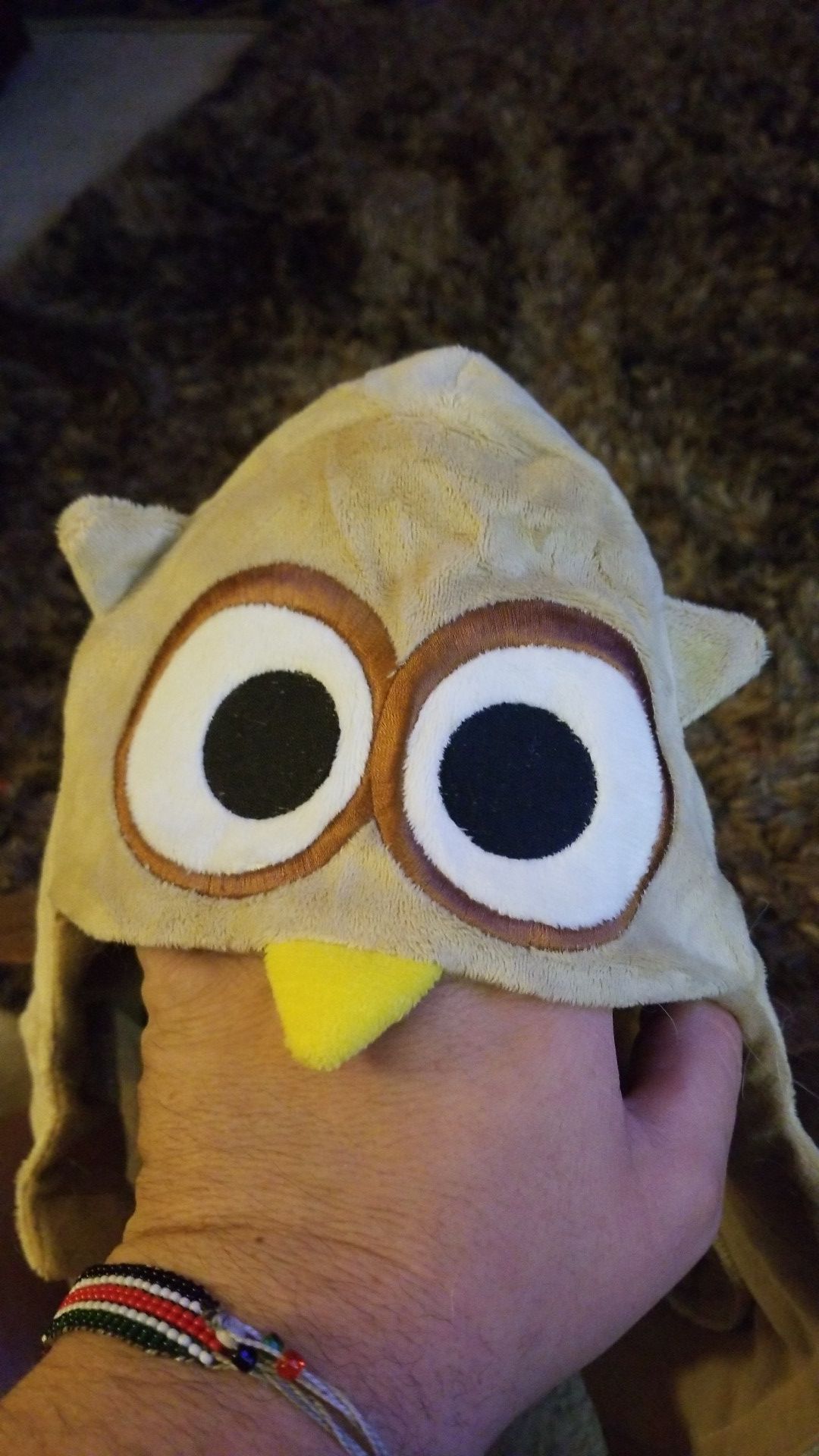 Little owl Halloween dog costume
