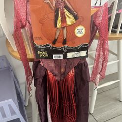 Sarah Hocus Pocus Costume 
