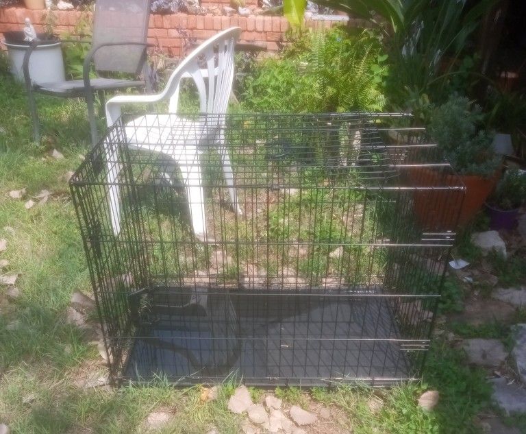 Large Metal Petco Dog Cage. Has Tray And Extra Shelf.