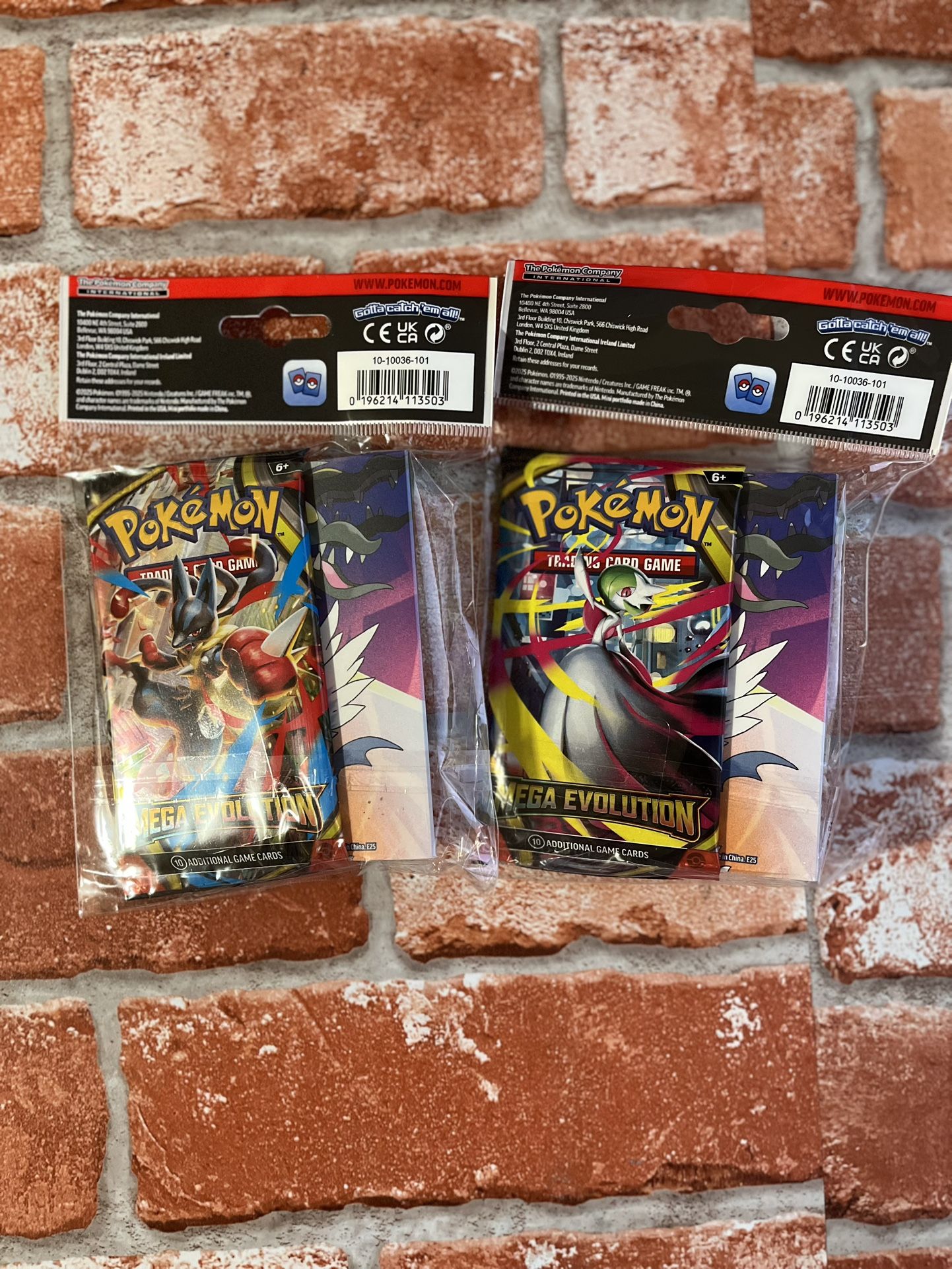 Pokemon: Mega Evolution Mini Portfolio