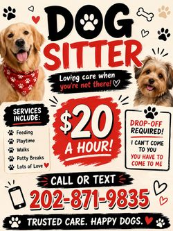 Dog sitter